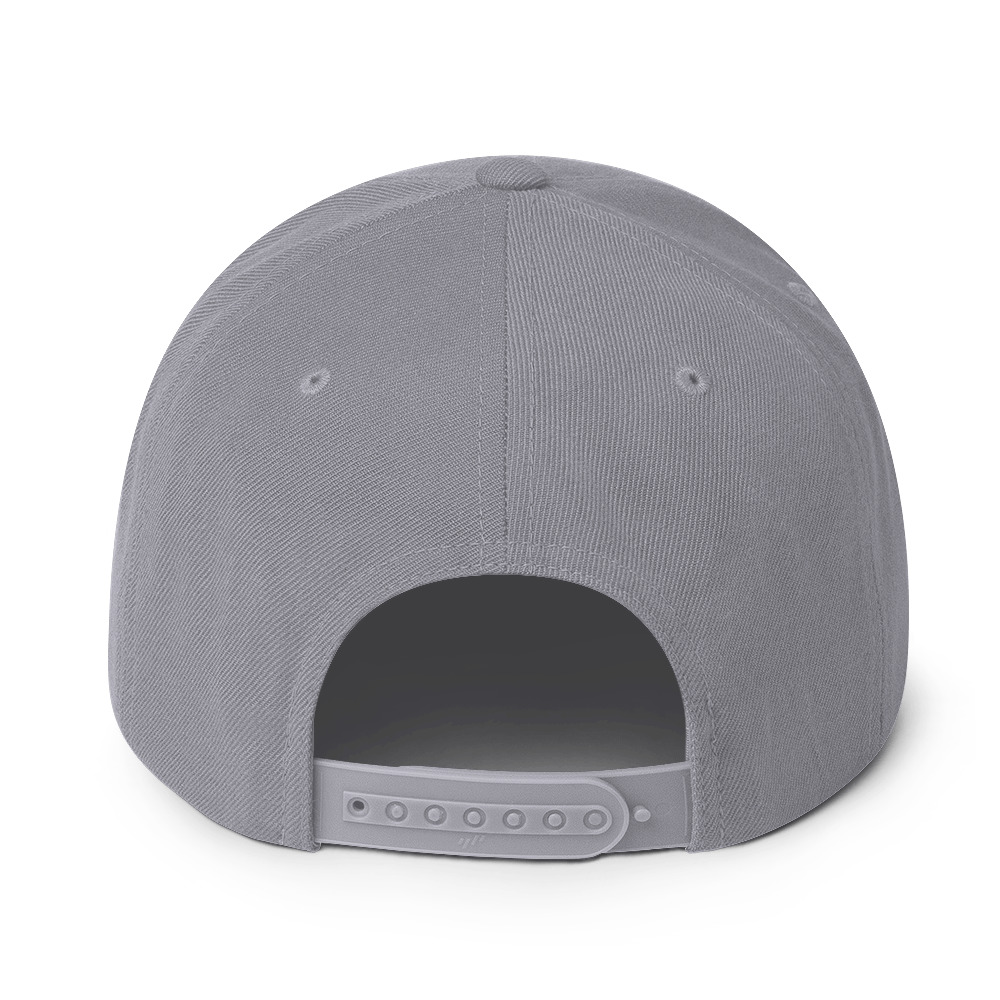 classic-snapback-silver-back-6657cd9b1c801.jpg